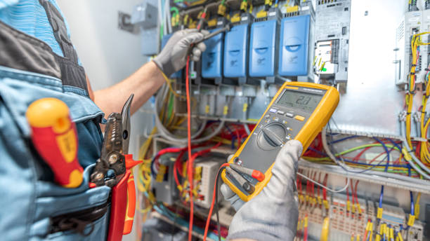 Best Electric Panel Repair  in Radium Springs, NM